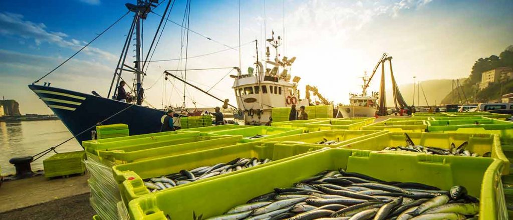 Dinamometro - pesa del pescato - NBC Elettronica Group
