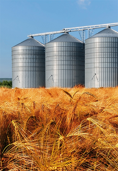 Zootechnics - silos - automation - NBC Elettronica Group