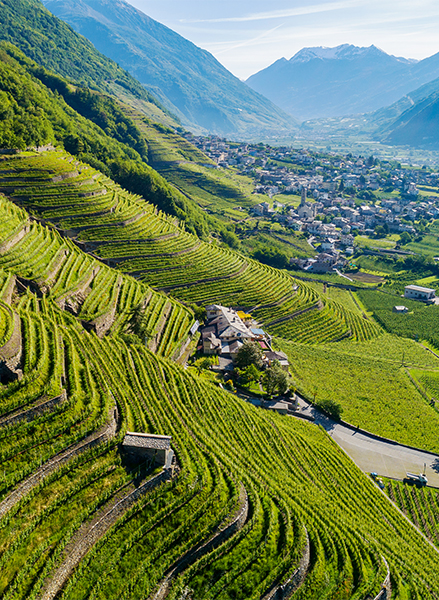 impresa-valtellina-territorio-NBC-Elettronic